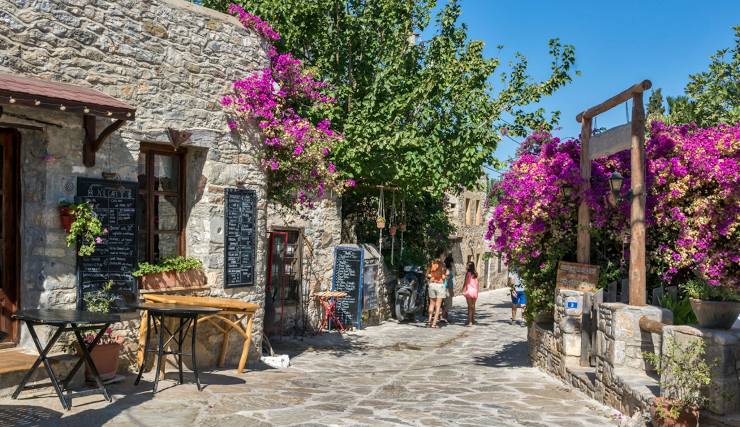 Comprehensive Guide to Dentists in Datça