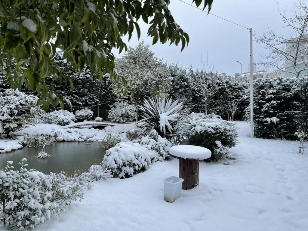 Moodist Hospital in Istanbul